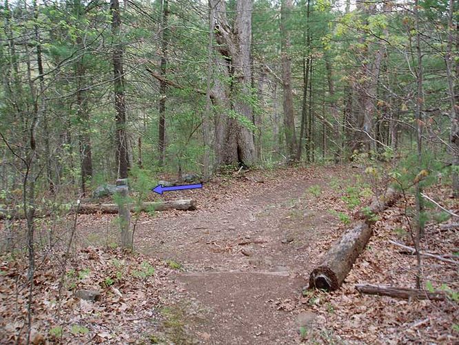 Picture 8 of Overall Run and Beecher Ridge Hike 042807