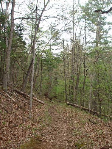 Picture 9 of Overall Run and Beecher Ridge Hike 042807