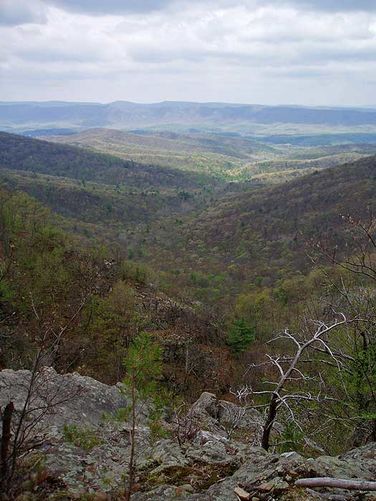 Picture 16 of Overall Run and Beecher Ridge Hike 042807