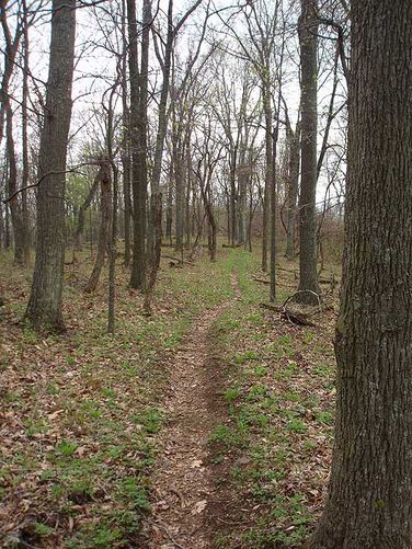 Picture 24 of Overall Run and Beecher Ridge Hike 042807