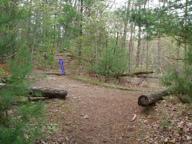 Picture 31 of Overall Run and Beecher Ridge Hike 042807