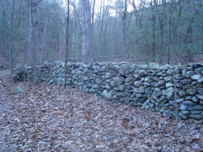 Picture 6 of Overall Run and Heiskell Hollow Hike 010311