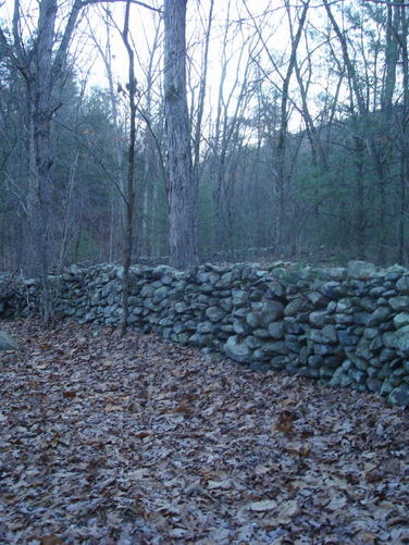 Picture 7 of Overall Run and Heiskell Hollow Hike 010311