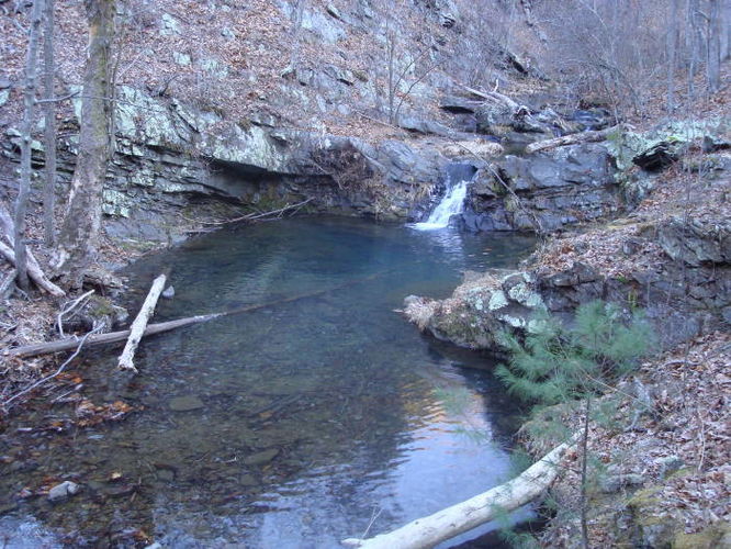 Picture 8 of Overall Run and Heiskell Hollow Hike 010311