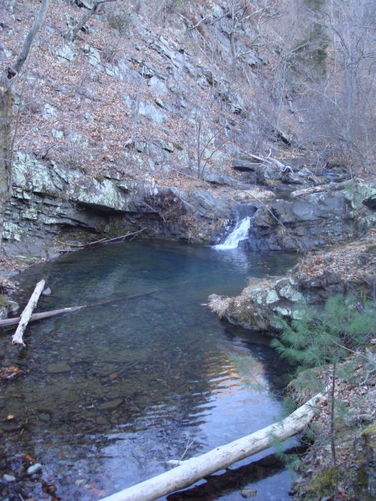Picture 9 of Overall Run and Heiskell Hollow Hike 010311