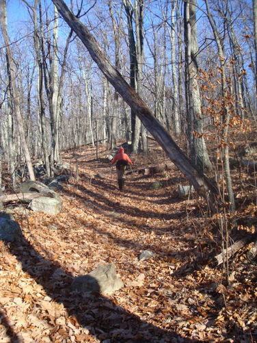 Picture 11 of Overall Run and Heiskell Hollow Hike 010311
