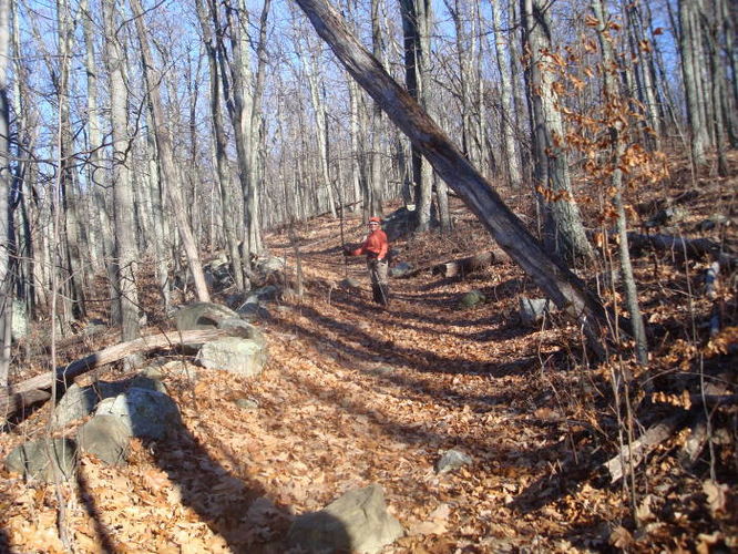 Picture 12 of Overall Run and Heiskell Hollow Hike 010311
