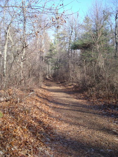 Picture 14 of Overall Run and Heiskell Hollow Hike 010311