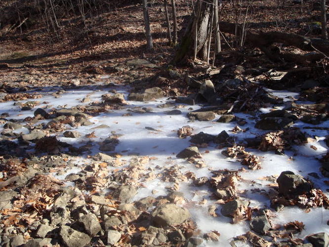 Picture 15 of Overall Run and Heiskell Hollow Hike 010311