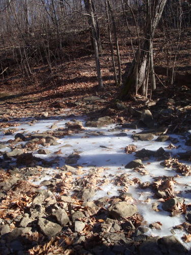 Picture 16 of Overall Run and Heiskell Hollow Hike 010311