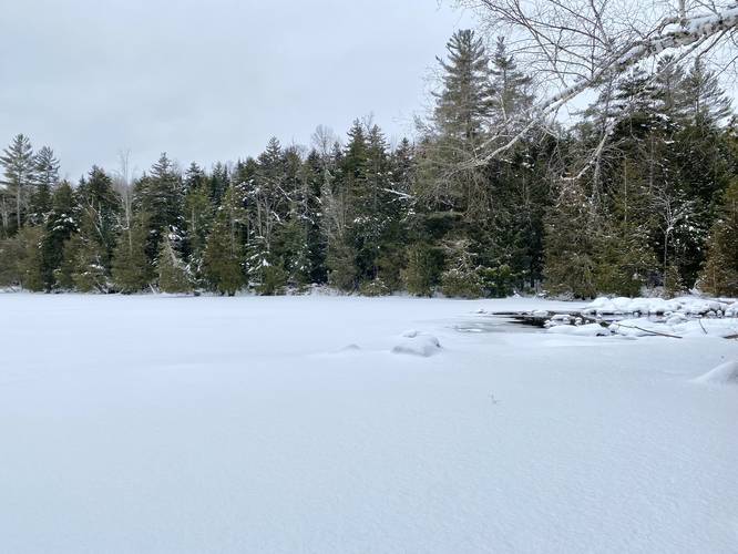 View of Owen Pond