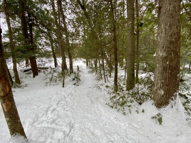 Short trail leads to shores of Owen Pond