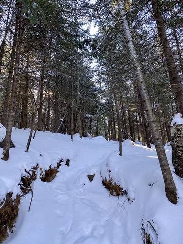 Hiking up the snowy Owls Head Trail Feb 28 2022