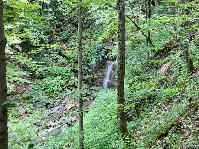 Oxbow Falls (approx. 20-feet tall)