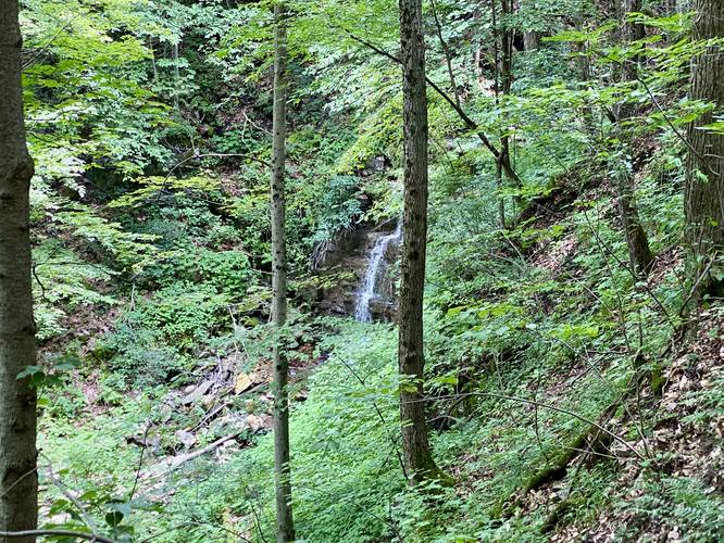 Oxbow Falls & Overlooks Hike