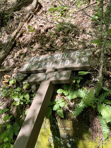 Sign fell over - Pine Trail, Riffle Run, Big Trail Road markers