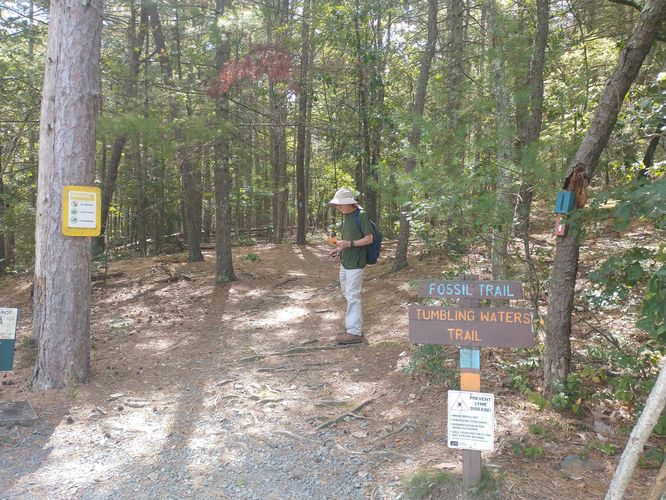 The entrance to the Trail  is well marked