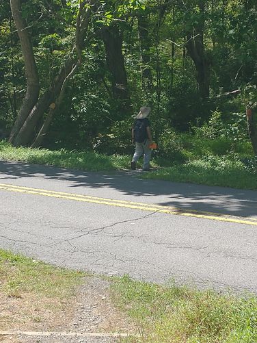 The trail crosses the road. Use caution when crossing.
