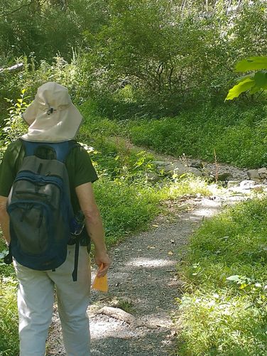 Trail substrate and well trail