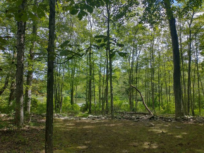 View along the trail 