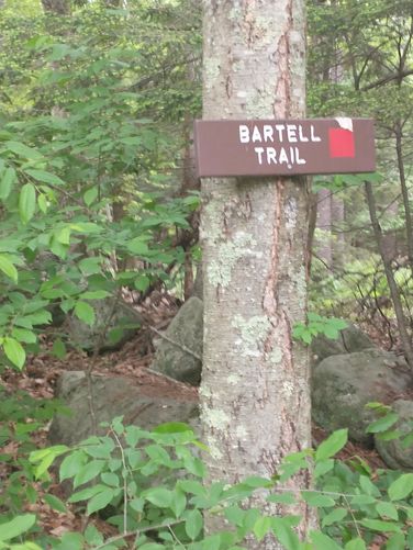 Trail sign and blaze