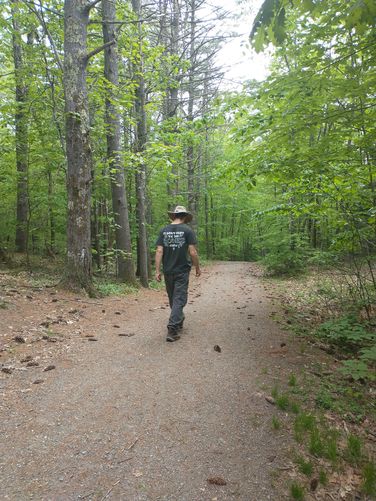 Easy walking on trail substrate