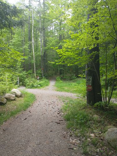 Trail crosses the Rail trail