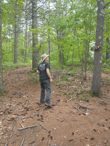 Junction of trail and change in footing