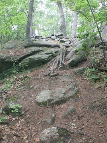 Rocky outcrop at Drop Off trail