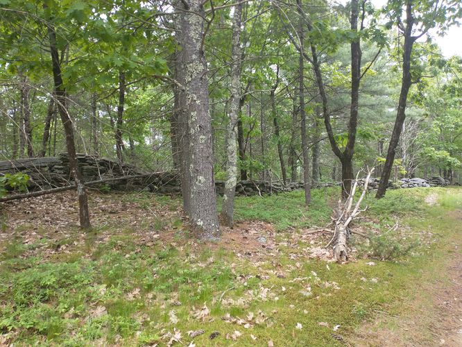 Interesting old flat rock wall