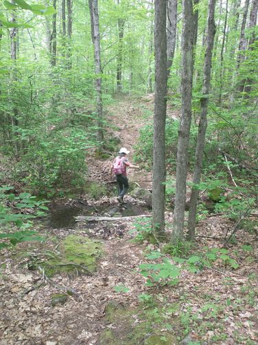 Use caution when crossing the small stream