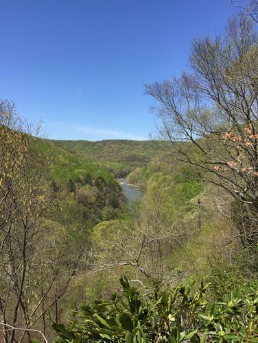 Vista of the Youghiogheny River