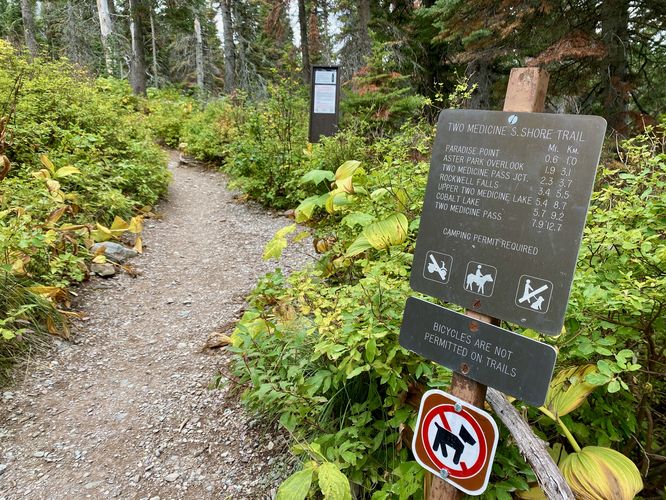 Two Medicine S Shore Trail