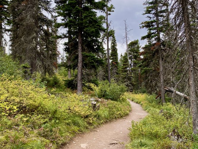 Hiking the Two Medicine South Shore Trail to Paradise Point