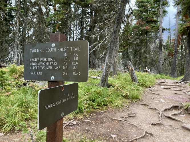 Paradise Point Trail junction