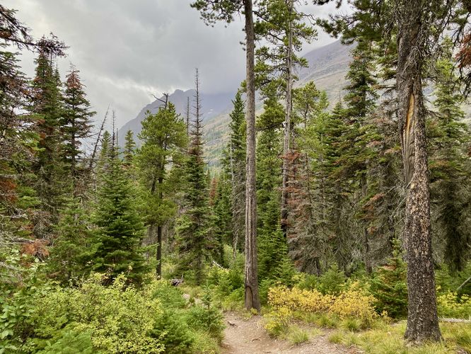 Hiking the Paradise Point Trail at Two Medicine Lake
