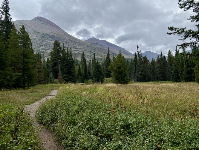 View of neighboring mountains as the Paradise Point Trail cuts through an open field