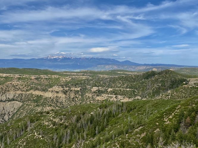 Eastward view of snow-capped mountains in the distance from Park Point