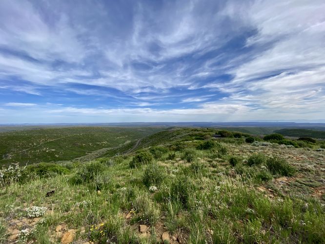 Wide angle view of the Mesa Verde plateau