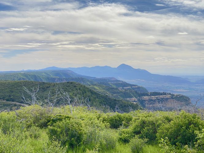Westward view of Mesa Verde's slopes and Ute Mountain in the distance