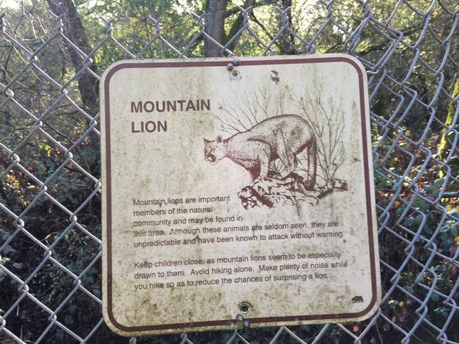 Warning mountan lions live in this park