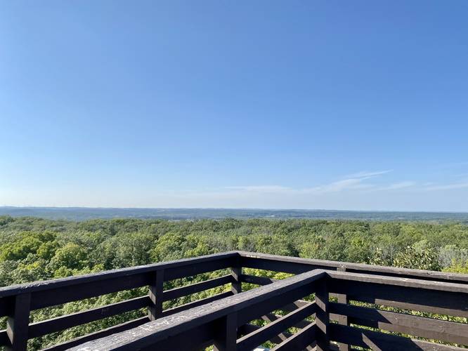 Views from Parnell Tower