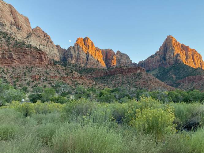 View of The Watchman from the Pa'rus Trail in Zion Valley