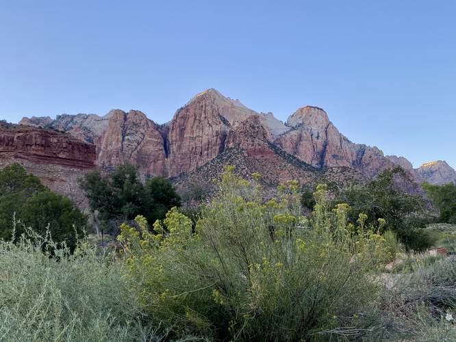 View of towering canyon cliffs surrounding Zion Valley