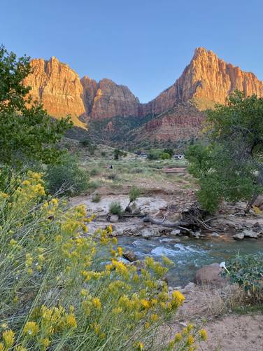 Wildflowers and views of the Virgin River from the Pa'rus Trail