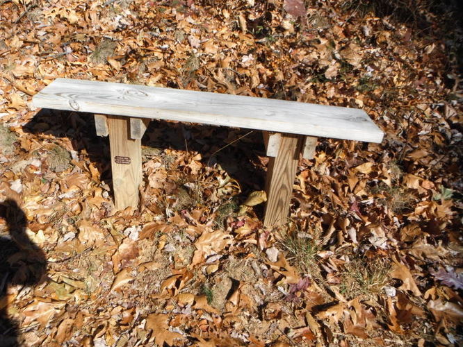 Picture 9 of Patricia Ann Byrom Forest Preserve 111114