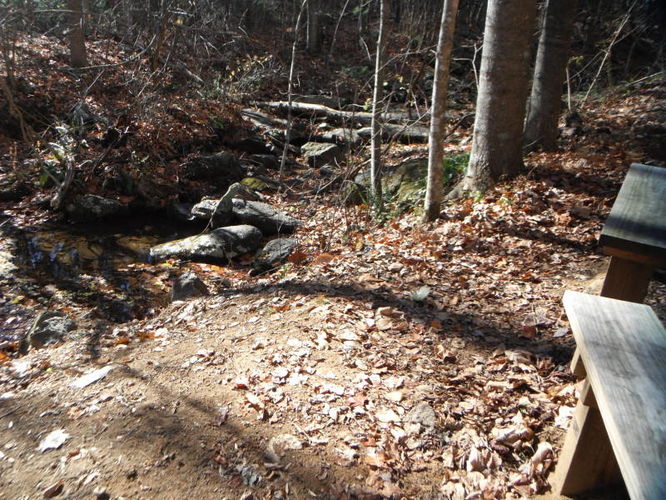 Picture 10 of Patricia Ann Byrom Forest Preserve 111114