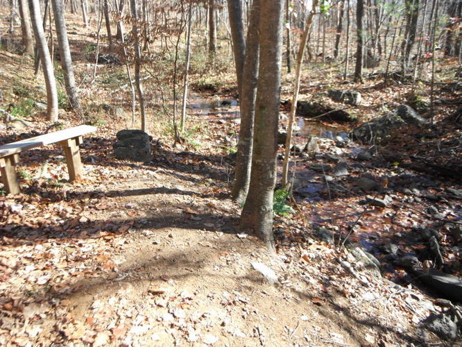 Picture 11 of Patricia Ann Byrom Forest Preserve 111114