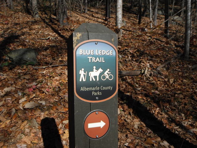 Picture 14 of Patricia Ann Byrom Forest Preserve 111114