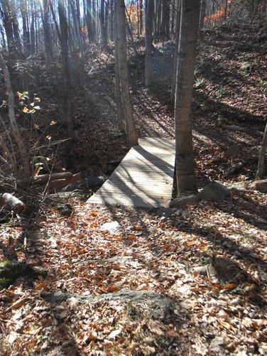 Picture 18 of Patricia Ann Byrom Forest Preserve 111114
